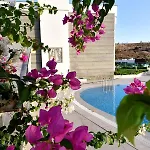 Apartman Royal Palm