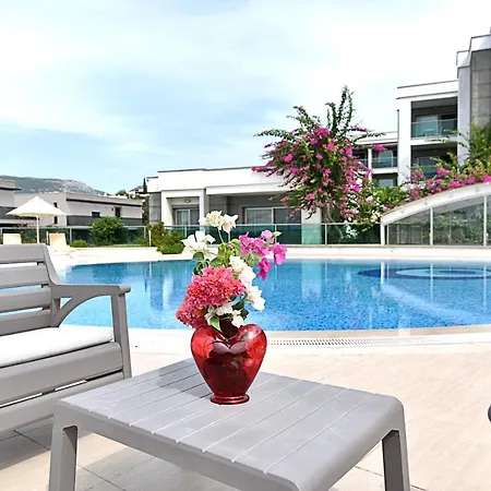 Royal Palm Apartament *