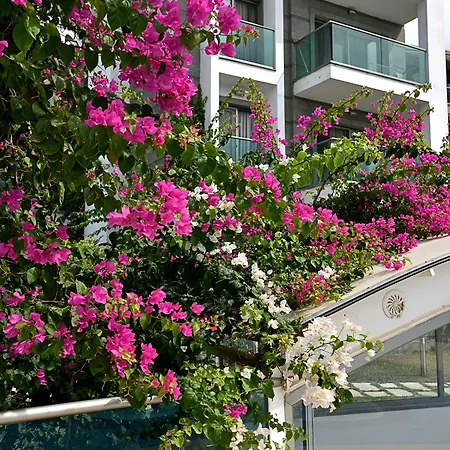 Апартаменты Royal Palm Бодрум