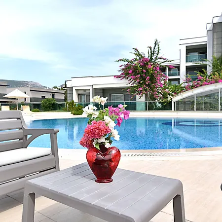 Royal Palm Apartment *