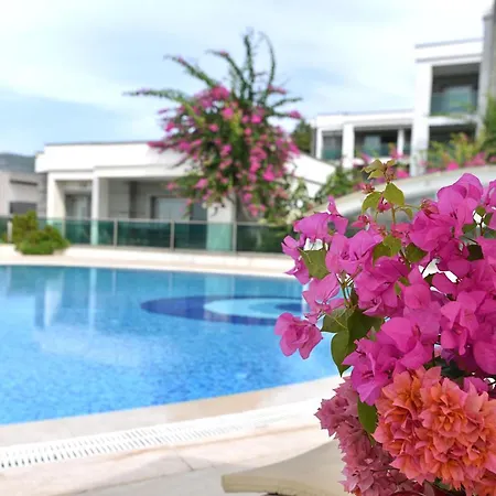 Royal Palm * Bodrum
